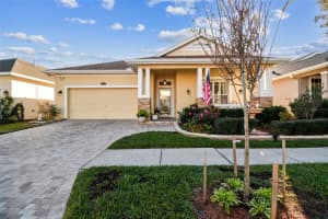 18206 PARASOL WAY, LUTZ, FL 33558 Sold 03/14/25
