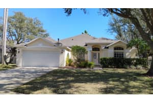9401 AZALEA RIDGE CIRCLE, TAMPA, FL 33647 Sold 03/31/25