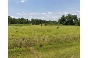 OAK LANE LOOP, OCALA, FL 34472 Sold 05/07/25