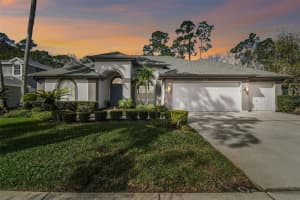 10524 GREENCREST DRIVE, TAMPA, FL 33626 Sold 04/04/25