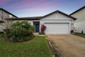6684 Devlin Ln, WESLEY CHAPEL