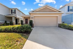 10773 HAWKS LANDING DRIVE, LAND O LAKES, FL 34638 Sold 04/18/25