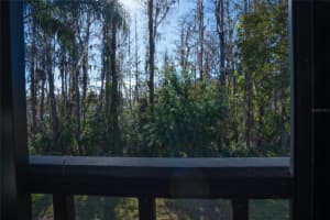 1433 PINE GLEN PLACE, TARPON SPRINGS, FL 34688 Sold 07/17/25