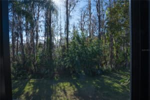 1433 PINE GLEN PLACE, TARPON SPRINGS, FL 34688 Sold 07/17/25