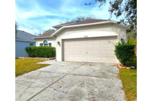 10232 GRANT CREEK DRIVE, TAMPA, FL 33647 - MLS#MFRTB8344575