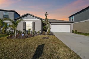 22103 BLAZING STAR RUN, LAND O LAKES, FL 34637 - MLS#MFRTB8344589