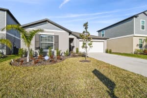 22103 BLAZING STAR RUN, LAND O LAKES, FL 34637 - MLS#MFRTB8344589