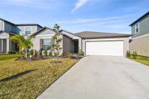 22103 BLAZING STAR RUN, LAND O LAKES, FL 34637 - MLS#MFRTB8344589