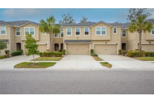 10108 NEWEL VALLEY LOOP, RIVERVIEW, FL 33569 Sold 04/25/25