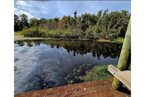 21732 BELL LAKE ROAD, LAND O LAKES, FL 34639 Sold 06/02/25