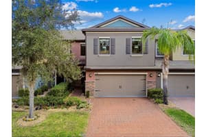 17284 OLD TOBACCO ROAD, LUTZ, FL 33558 Sold 04/11/25