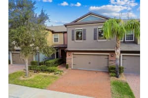 17284 OLD TOBACCO ROAD, LUTZ, FL 33558 Sold 04/11/25