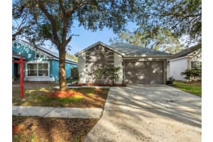 10208 LAKESIDE VISTA DRIVE, RIVERVIEW, FL 33569 Sold 04/01/25