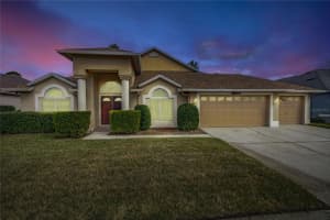 10025 CYPRESS SHADOW AVENUE, TAMPA, FL 33647 Sold 07/22/25