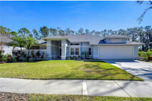 3914 TURKEY OAK DRIVE, VALRICO, FL 33596 Sold 03/21/25