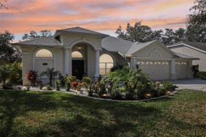 5606 MACALLAN DR, TAMPA, FL 33625 Sold 04/01/25