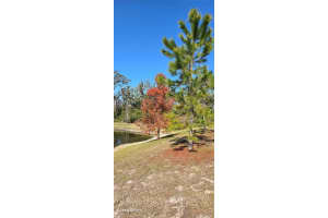 2933 JACOB CROSSING LANE, HOLIDAY, FL 34691 Sold 06/24/25