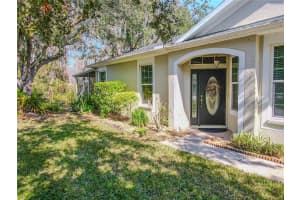 10632 ASHFORD OAKS DRIVE, TAMPA, FL 33625 Sold 03/18/25