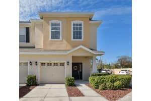 1115 Andrew Aviles Cir, TAMPA