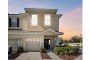 1115 ANDREW AVILES CIRCLE, TAMPA, FL 33619 - MLS#MFRTB8344938