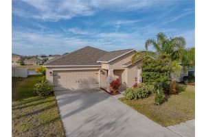10511 FUZZY CATTAIL STREET, RIVERVIEW, FL 33578 Sold 03/28/25