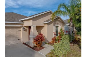 10511 FUZZY CATTAIL STREET, RIVERVIEW, FL 33578 Sold 03/28/25