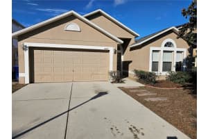 10459 FLY FISHING STREET, RIVERVIEW, FL 33569 Sold 03/12/25