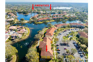 6816 DALI AVENUE, LAND O LAKES, FL 34637 Sold 05/22/25