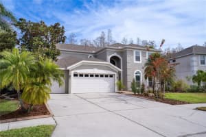18809 CHAVILLE ROAD, LUTZ, FL 33558 Sold 03/07/25