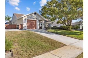 807 CAVEMILL WAY, TARPON SPRINGS, FL 34689 Sold 03/21/25
