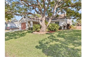 807 CAVEMILL WAY, TARPON SPRINGS, FL 34689 Sold 03/21/25