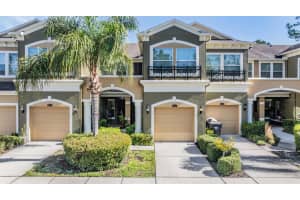 12537 Silverdale St, TAMPA