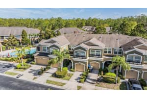 12537 SILVERDALE STREET, TAMPA, FL 33626 - MLS#MFRTB8345035