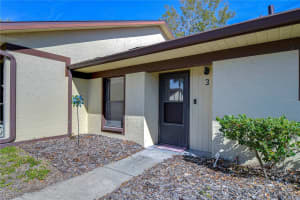 1311 POWDERPUFF DRIVE, DUNEDIN, FL 34698 - MLS#MFRTB8345065
