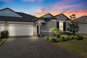 9846 RED BAY LOOP, LAND O LAKES, FL 34637 Sold 04/25/25