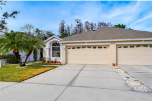 30817 PROUT COURT, WESLEY CHAPEL, FL 33543 Sold 04/08/25