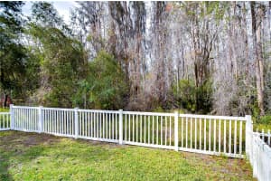 30817 PROUT COURT, WESLEY CHAPEL, FL 33543 Sold 04/08/25