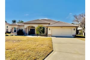 9445 SOUTHERN BELLE DRIVE, WEEKI WACHEE, FL 34613 Sold 03/31/25