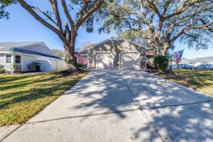 354 IXORA DRIVE, PALM HARBOR, FL 34684 Sold 03/14/25