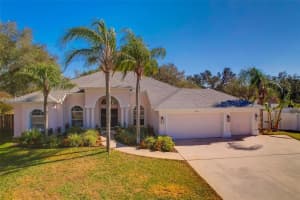4325 SWIFT CIRCLE, VALRICO, FL 33596 Sold 03/18/25