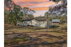 12823 MCINTOSH ROAD, THONOTOSASSA, FL 33592 Sold 05/15/25