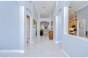10919 AUSTRALIAN PINE DRIVE, RIVERVIEW, FL 33579 Sold 03/14/25