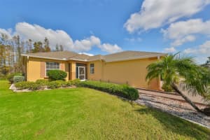 1123 EMERALD DUNES DRIVE, SUN CITY CENTER, FL 33573 - MLS#MFRTB8345227