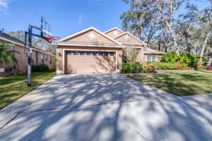 6003 TEALSIDE COURT, LITHIA, FL 33547 Sold 04/29/25