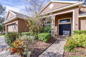 6003 TEALSIDE COURT, LITHIA, FL 33547 Sold 04/29/25