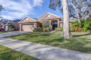 6003 TEALSIDE COURT, LITHIA, FL 33547 Sold 04/29/25