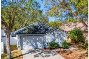 5605 TANAGERGROVE WAY, LITHIA, FL 33547 Sold 03/25/25