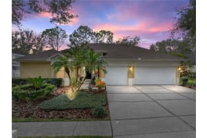 8784 ASHWORTH DRIVE, TAMPA, FL 33647 Sold 04/08/25