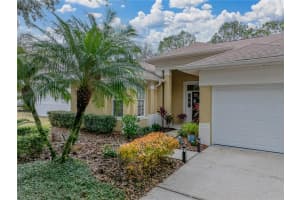 8784 ASHWORTH DRIVE, TAMPA, FL 33647 Sold 04/08/25