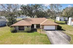 17306 LYNNDAN DRIVE, LUTZ, FL 33548 Sold 04/07/25